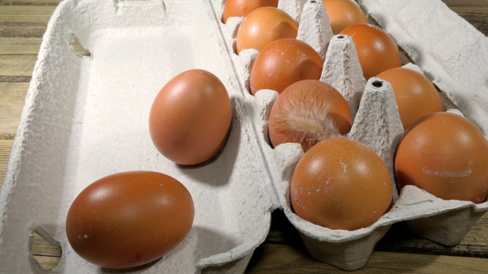 БАБХ за яйцата с фипронил: Няма място за паника