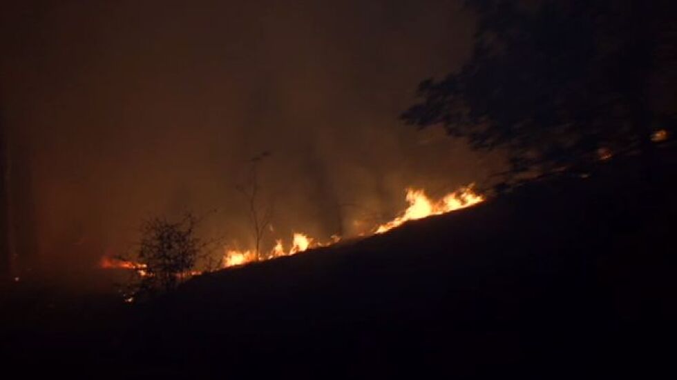 Пожар изпепели 400 дка край благоевградското село Дренково 