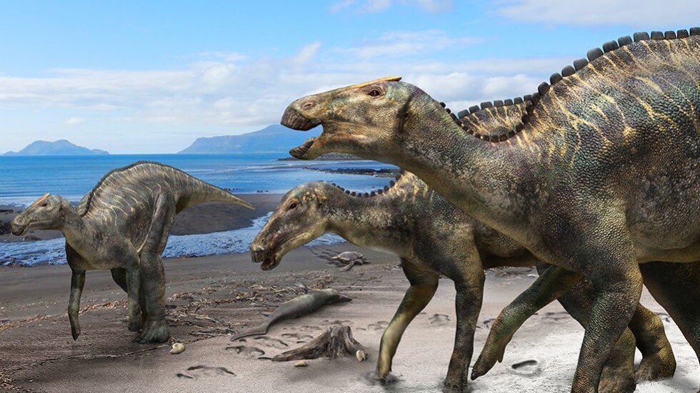 Учени откриха нов вид динозаври в Япония