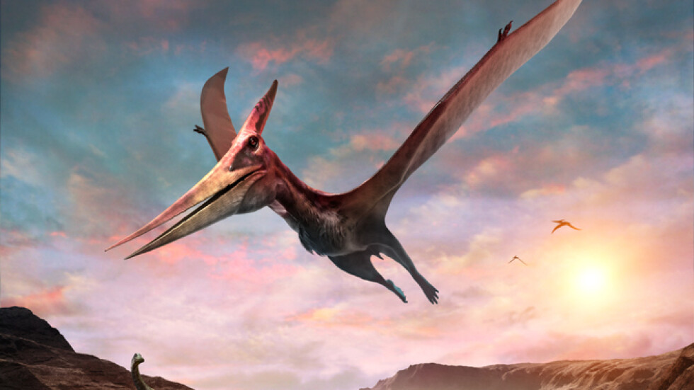 “Замръзналият дракон на севера” – откриха нов вид динозавър