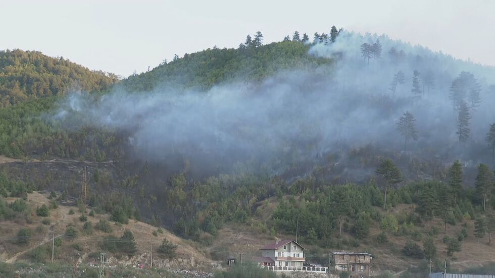 Пожар горя в 60 декара иглолистна гора край Велинград
