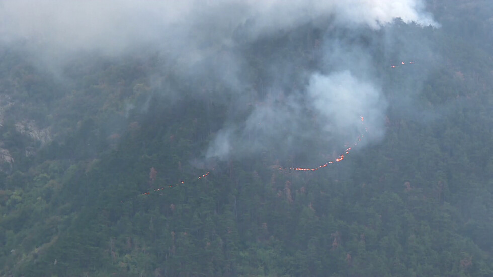 Овладяха горския пожар над Карлово