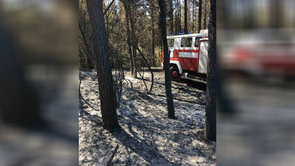 Пожар погълна 500 дка гора в Търговищко