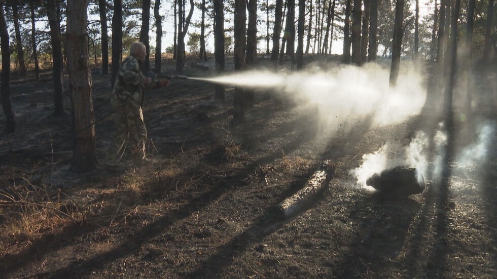 Големите горски пожари в Хасковско вече са потушени (ОБЗОР)