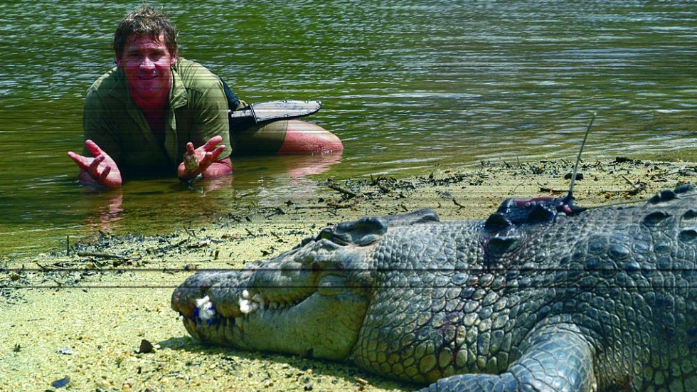 Как Ловеца на крокодили предсказа края си и къде е последното копие от видеото със смъртта му