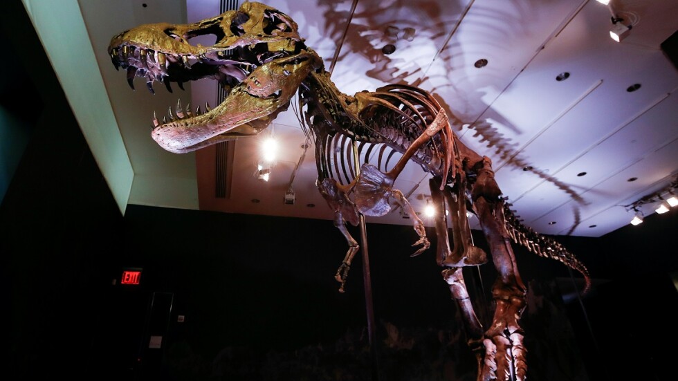 Пуснаха на търг скелет на Тиранозавър рекс на 67 млн. години