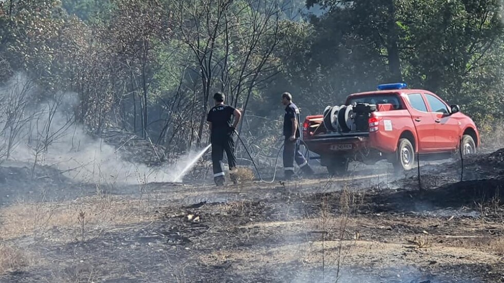 Пожарът край тополовградското село Българска поляна е локализиран
