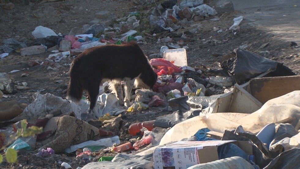 Незаконно сметище в бургаски квартал: Кой трябва да почисти тоновете боклуци?