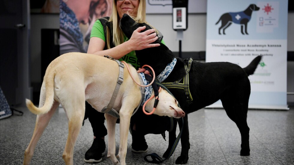 Кучета надушват COVID-19 на летището в Хелзинки