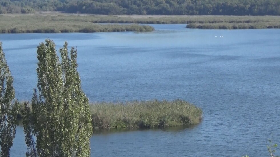 Опасност от замърсяване: Изливат ли се отпадни води в резерват „Сребърна“?