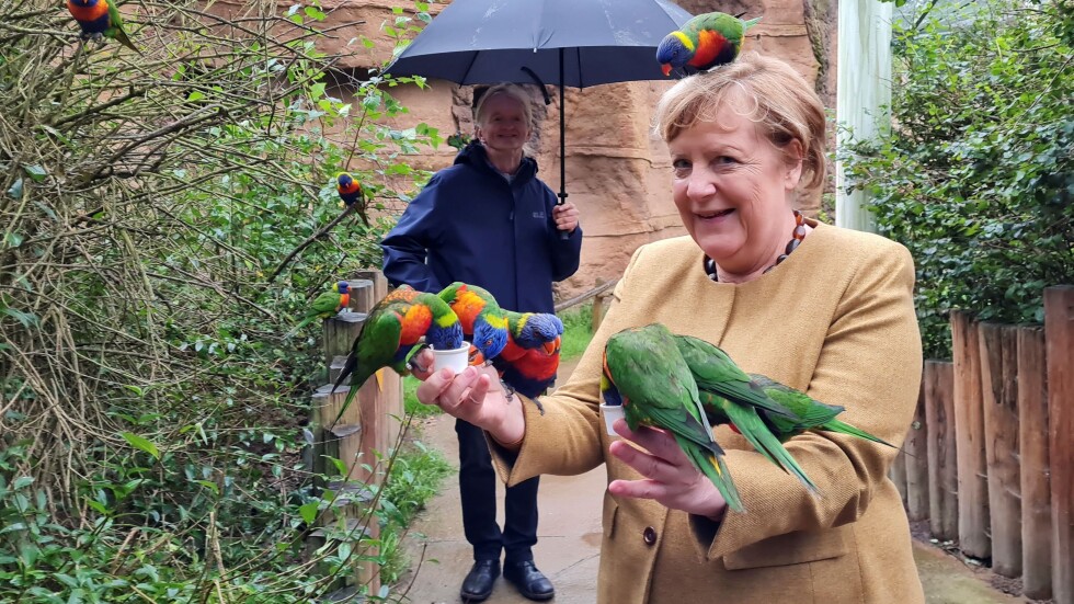 Кадър на Меркел, "нападната" от папагал, обиколи социалните мрежи (СНИМКА)