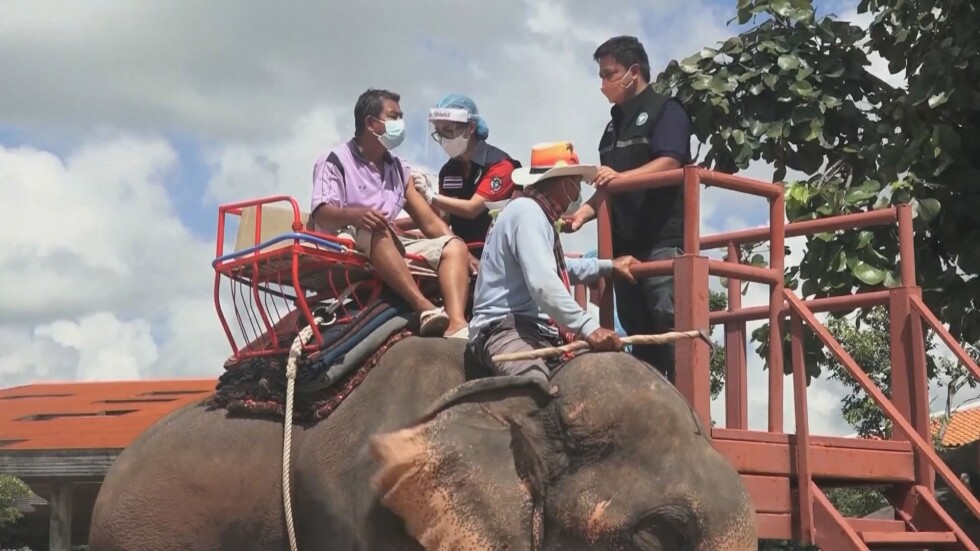 Нестандартен стимул за ваксиниране в Тайланд – върху слон (ВИДЕО)