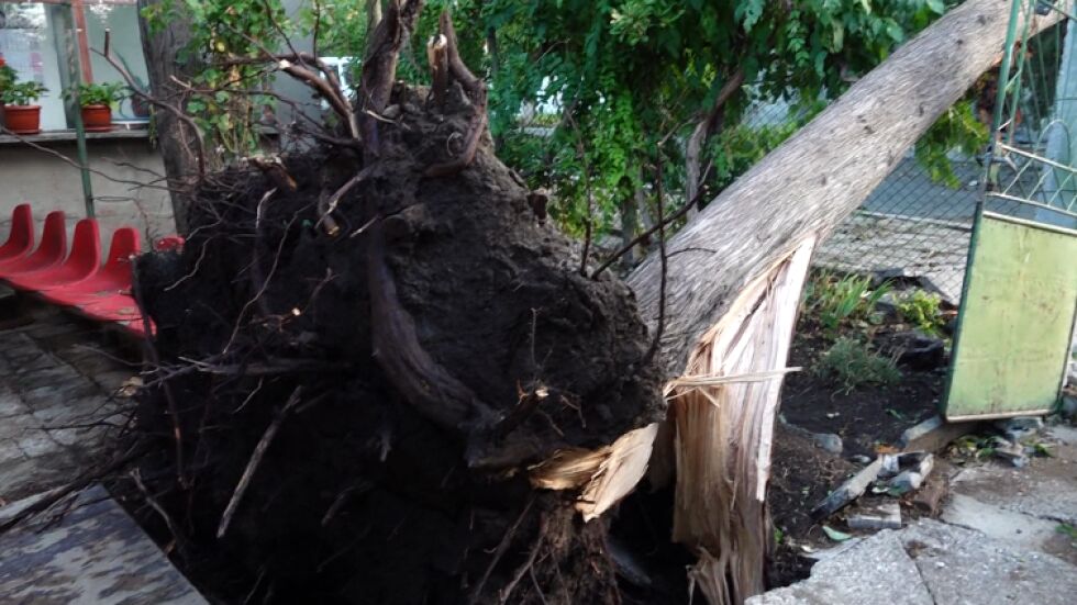 Комисия ще опише щетите след бурята в Бургаско