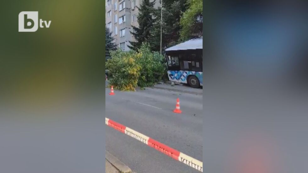 Автобус на градския транспорт в София се заби в дърво, има пострадали (ВИДЕО)