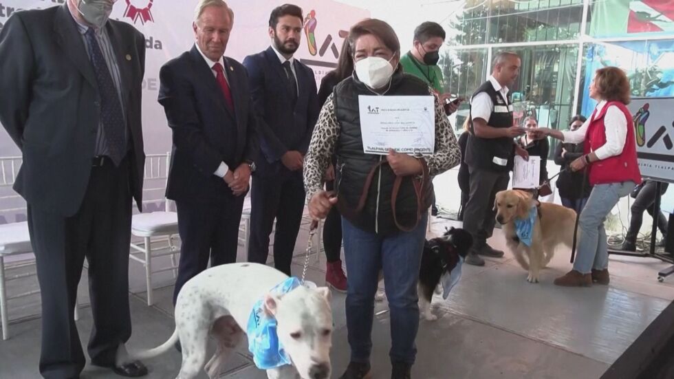 Награда за кучета, спасили хора при земетресения