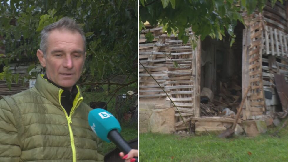 Младежи опитаха да откраднат дървата на семейство в Пернишко, водили и купувач