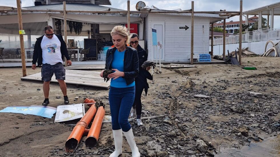 В беда ли е, или е спасена костенурката: Снимка на министъра на туризма взриви социалните мрежи
