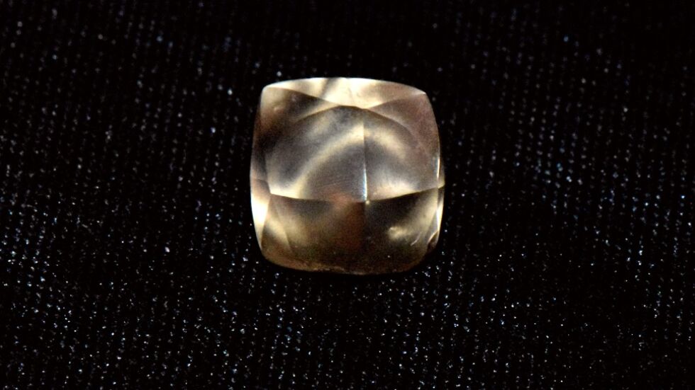 7-годишно дете откри близо 3-каратов диамант в парк (СНИМКА)