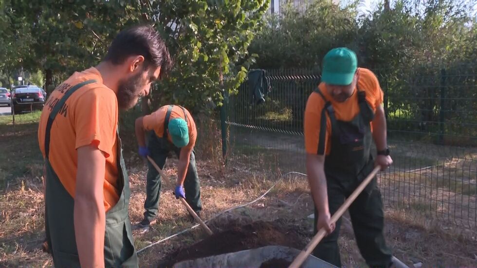 „Да изчистим България заедно“: Осем дървета ще бъдат засадени пред сградата на bTV