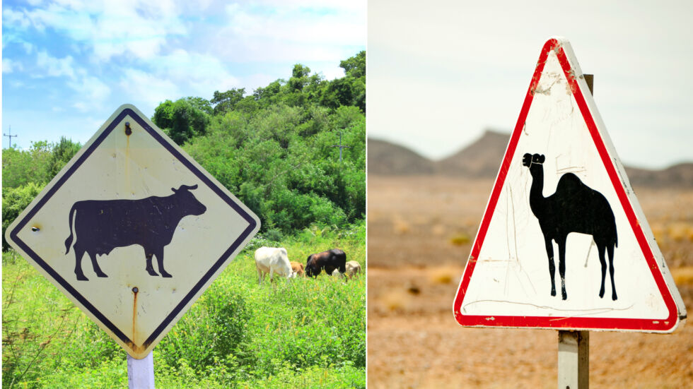 "Внимание! Падащи крави и елфи!" -  топ 10 на най-странните пътни знаци в света (ВИДЕО)