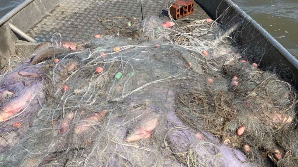 ИАРА дари над 500 кг бракониерска риба на зоопарка в Бургас и в Айтос (СНИМКИ)