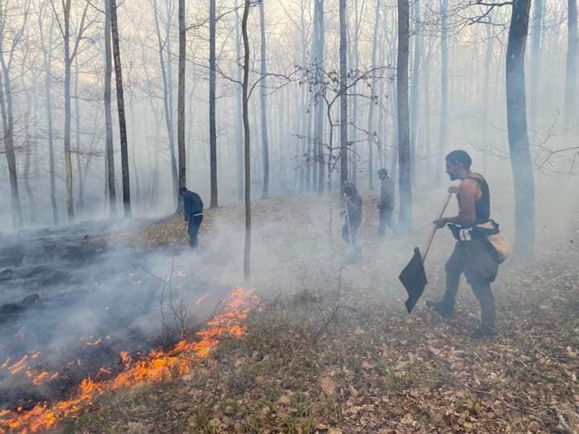 Пожар в гората край Синеморец