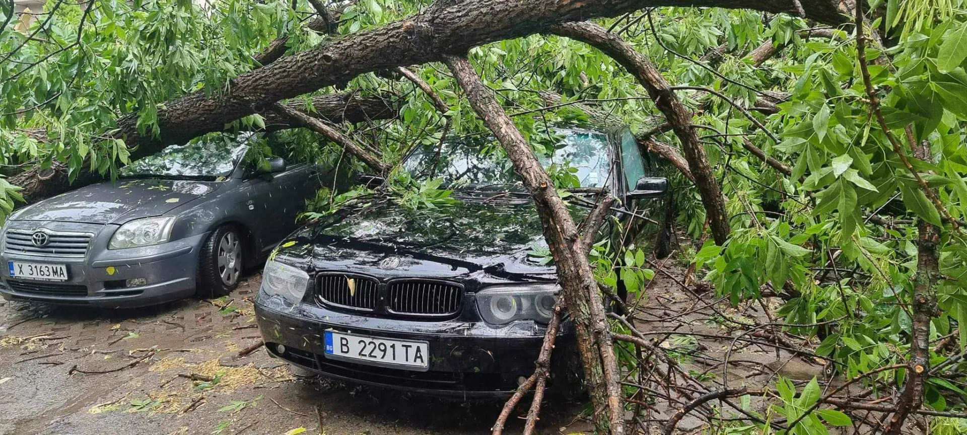  Проливен дъжд с градушка удари Симеоновград 