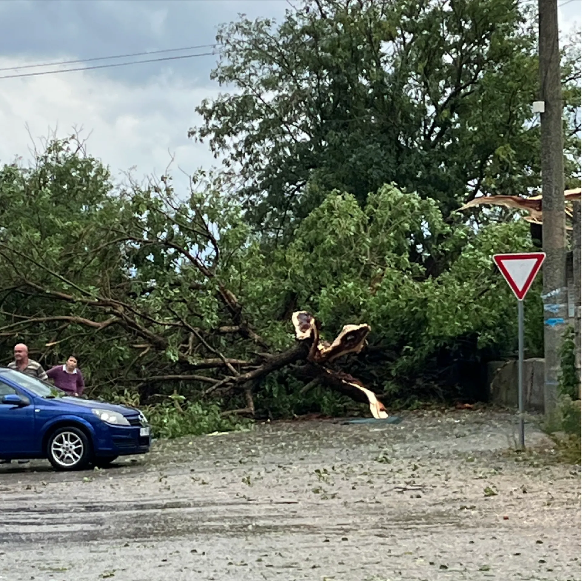  Силна стихия с градушка връхлетя Силистра и Дулово 