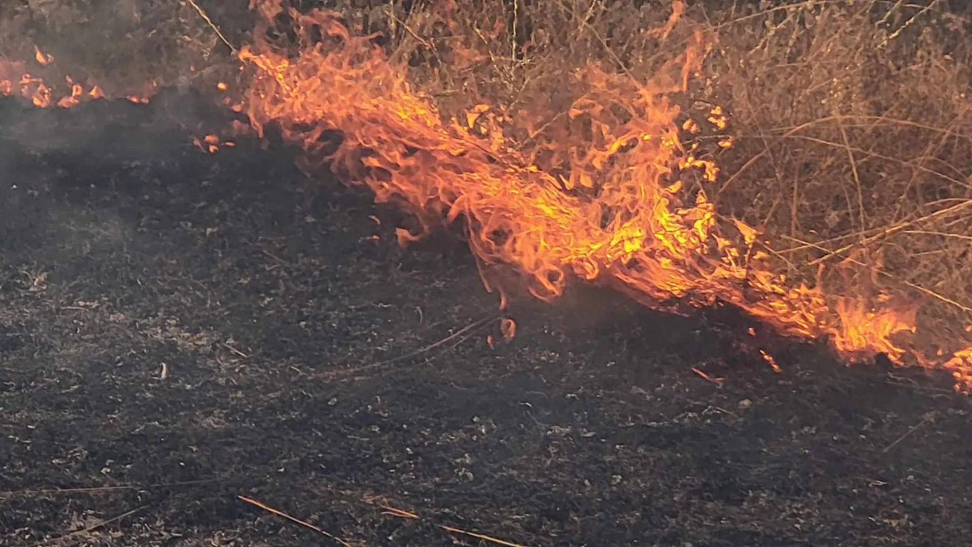 Пожар в харманлийското село Шишманово
