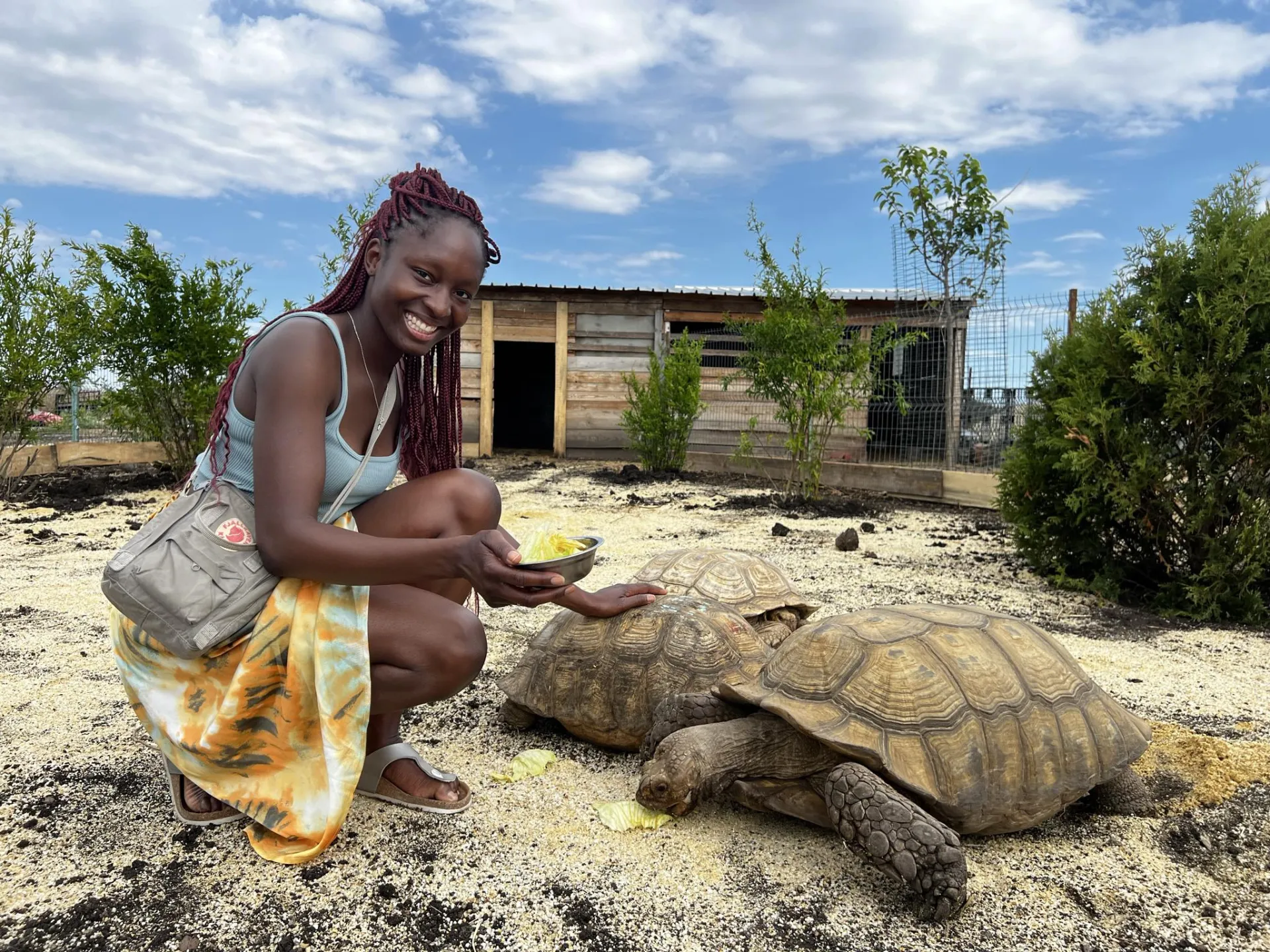 Нови жители в зоопарка в Бургас 