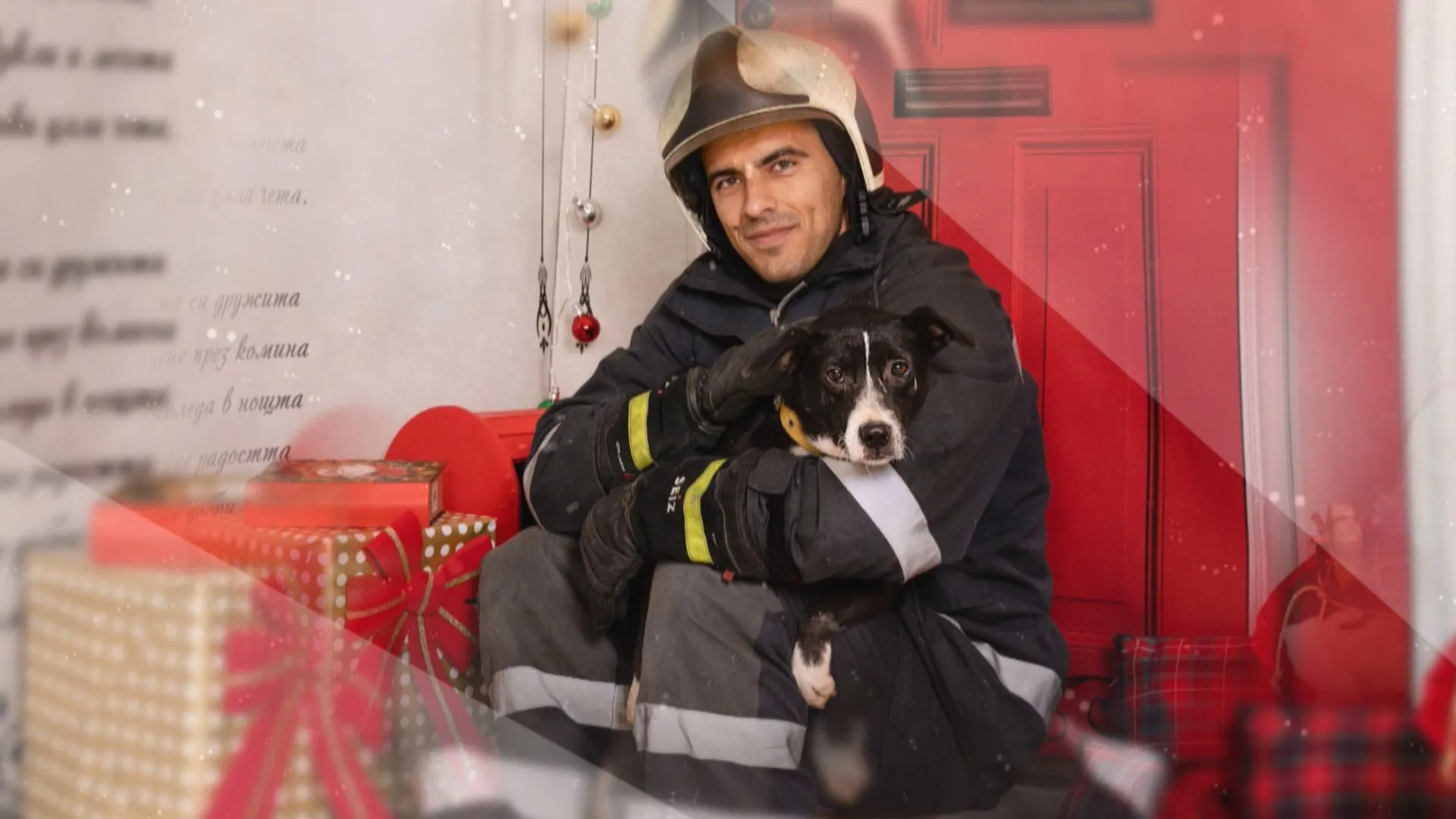  Пожарникари от Бургас оказват помощ на изоставените кучета 