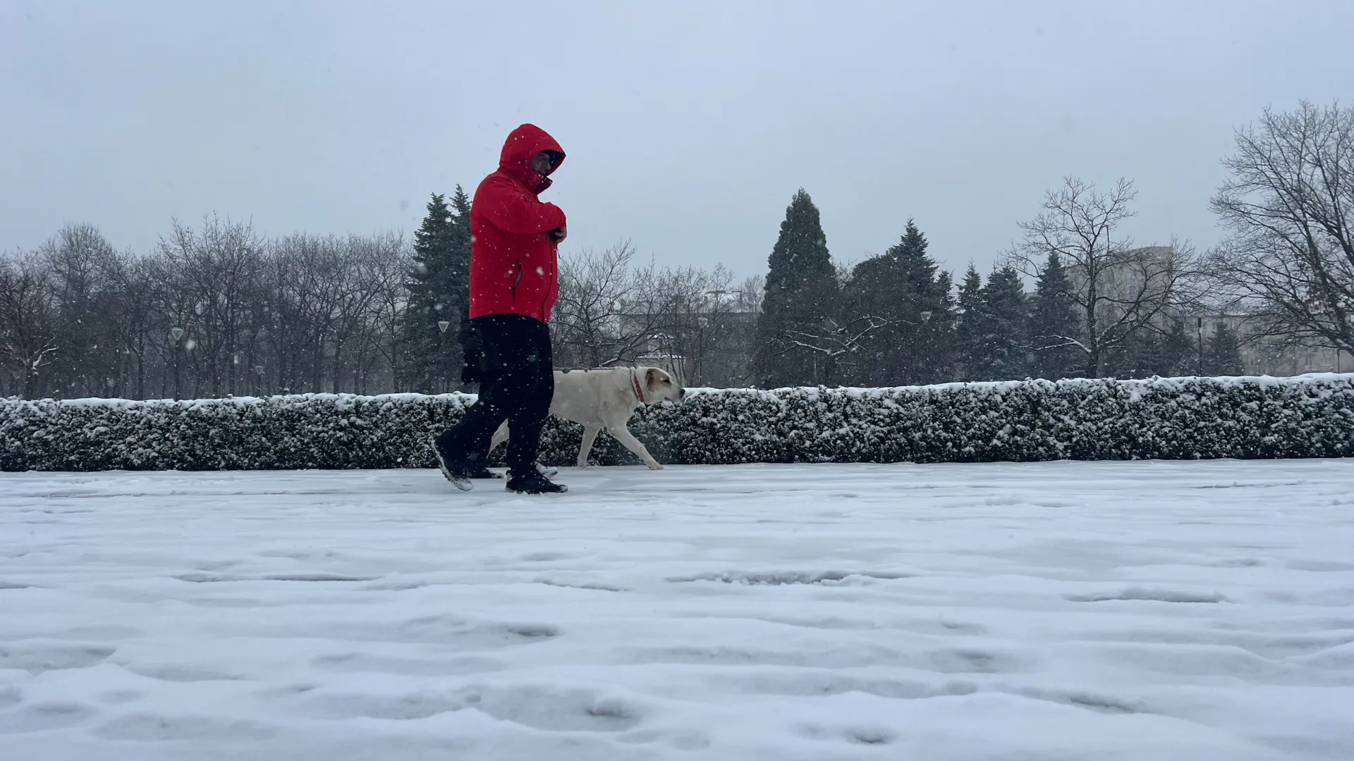  Зимата подсети за себе си 