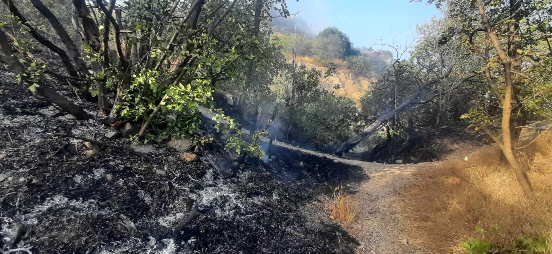 Пожар избухна на Младежкия хълм