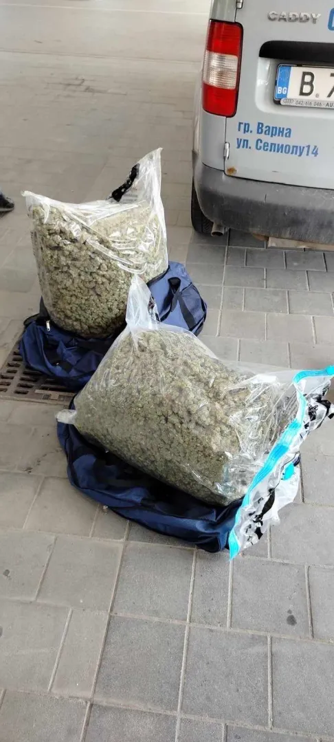  Наркодилъри 