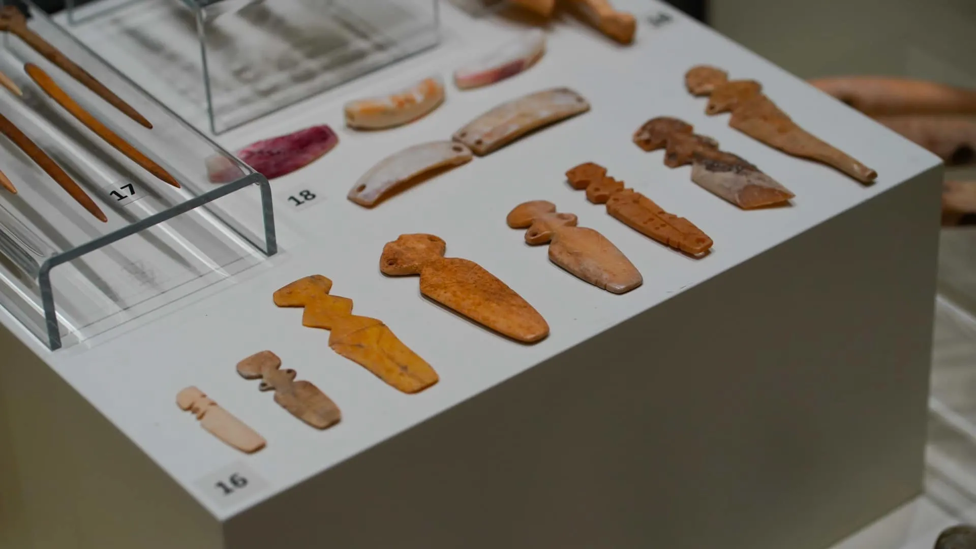  Откриват галерия отдадена на солниците в Провадия 