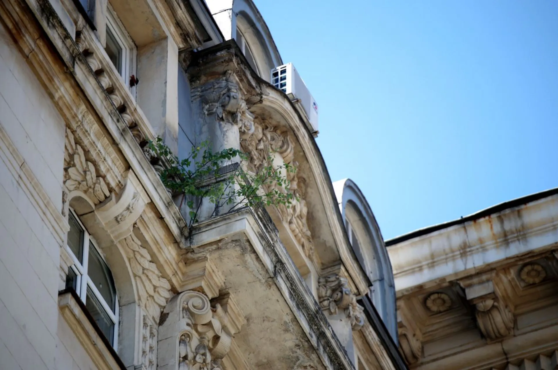  Сгради с дървета 