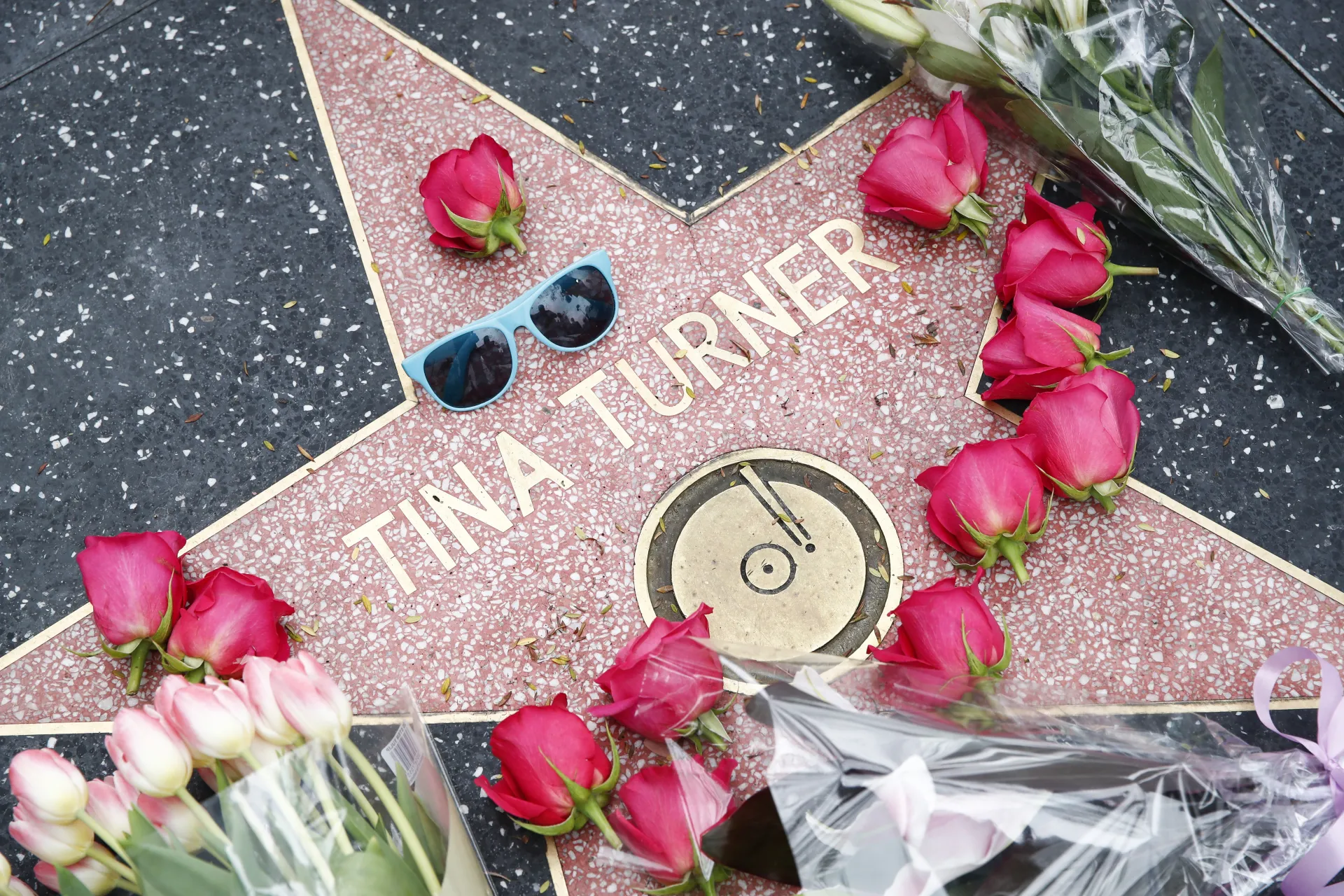  Почит към Тина Търнър 