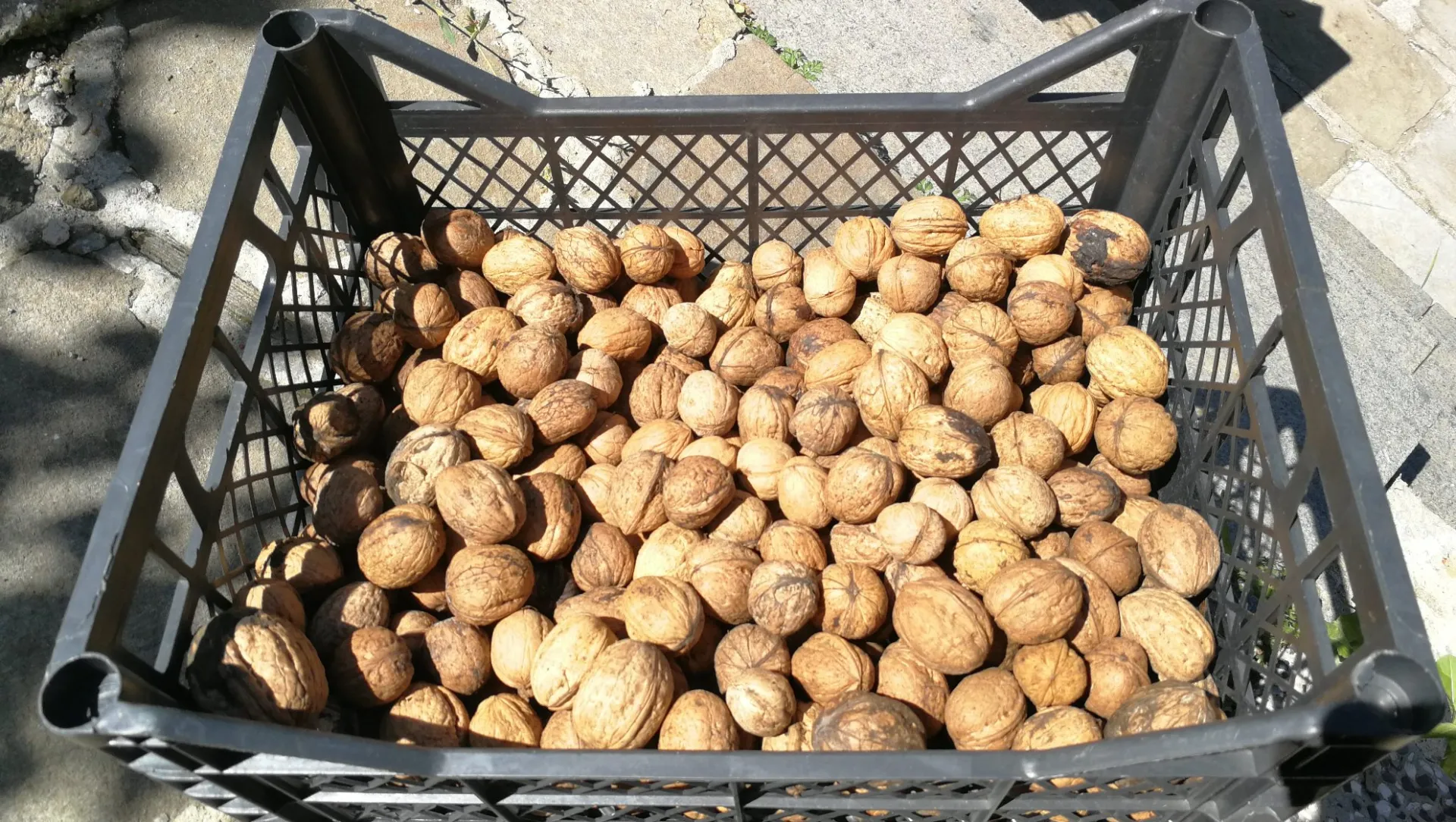 Сирийска баклава с орехи