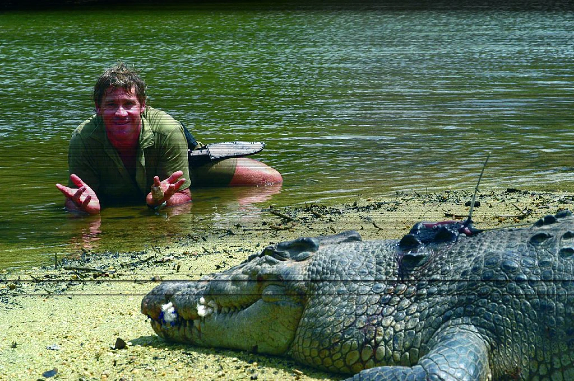  90 000 животни са спасени от семейството на Ловеца на крокодили Стив Ъруин в Австралия