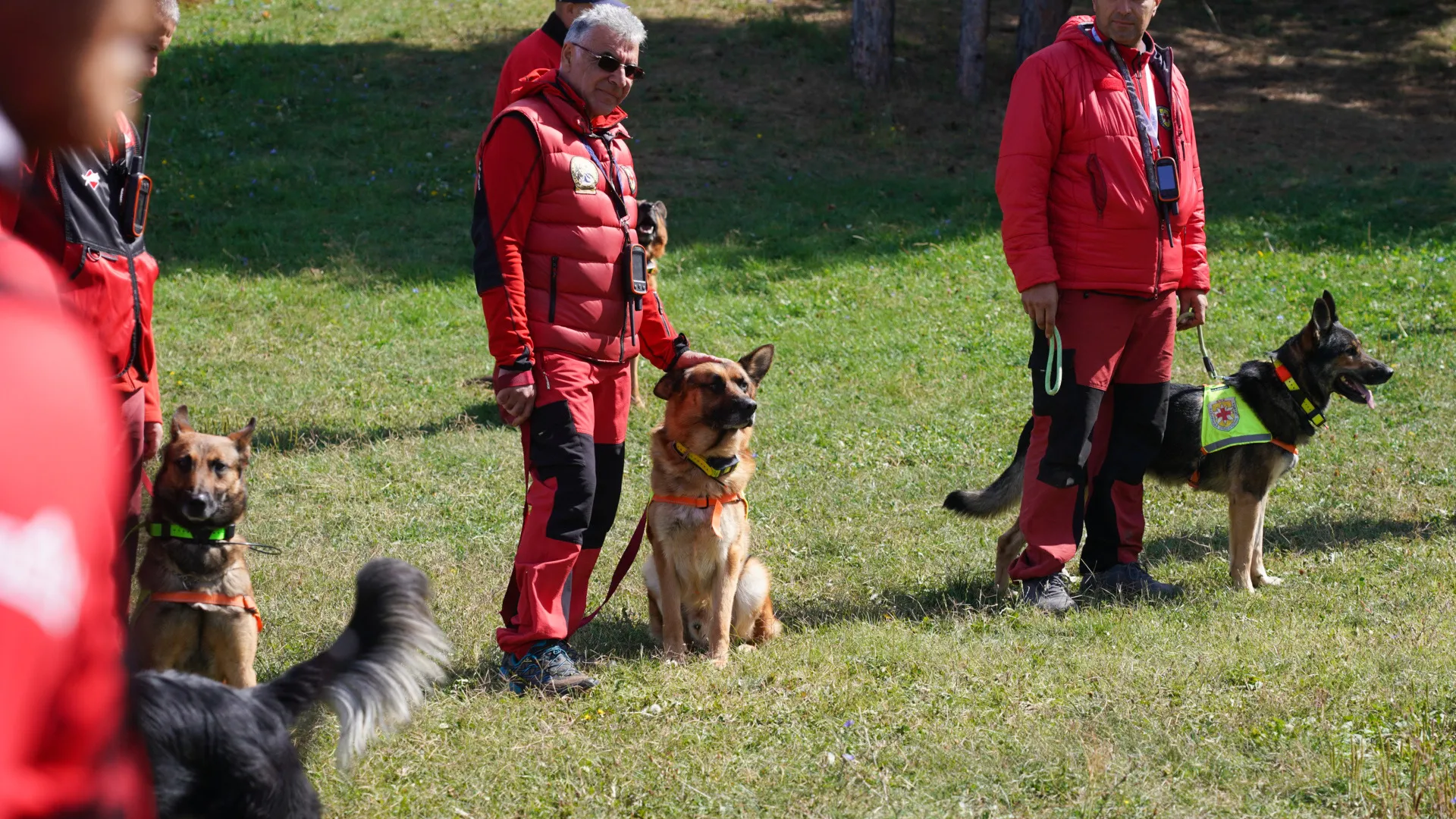  Планински спасители и водачи на кучета 